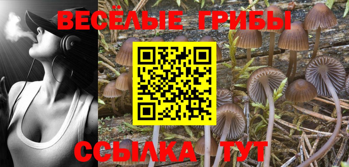 Карталы  Галлюциногенные грибы ЛСД  Вход с VPN 